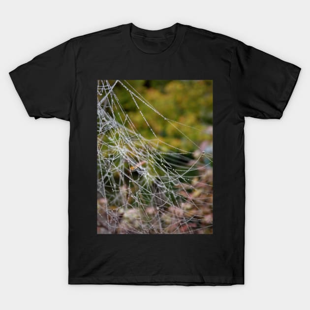 A wet spiderweb T-Shirt by TiiaVissak